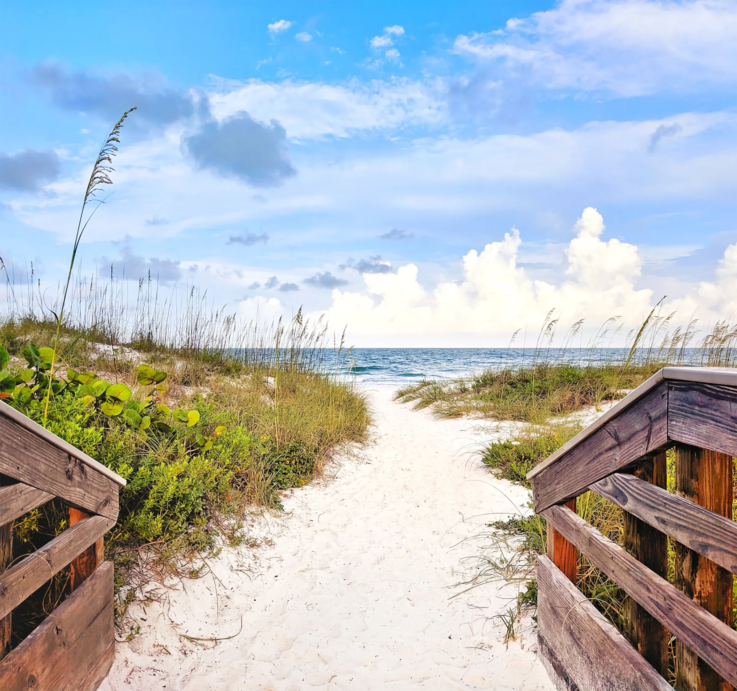 A sandy path that opens up to the beach on the coast of Southwest Florida.